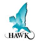 Hawk-level-logo
